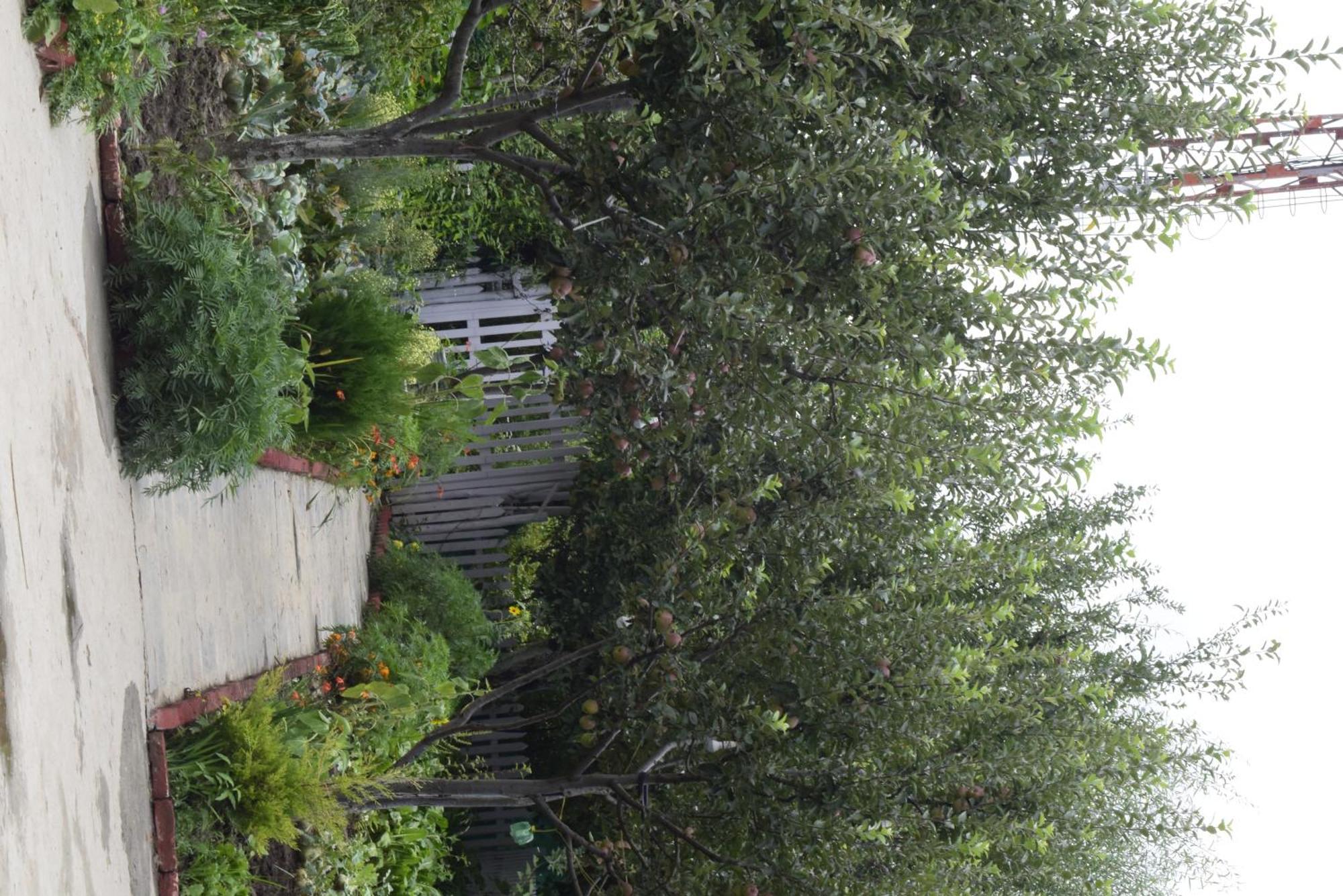 Enthralling Escapes Nature And Trek Holiday home Manali (Himachal Pradesh)