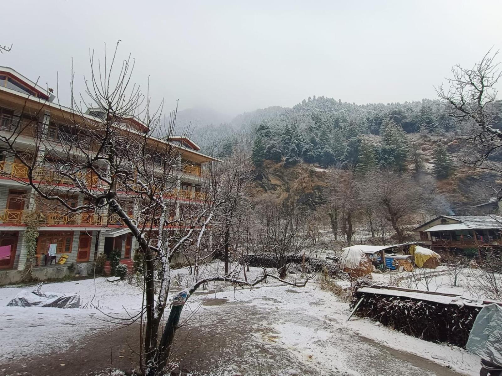 Moonlight By Kaafeela Guest house Manali (Himachal Pradesh)