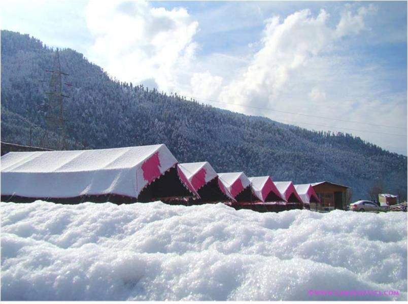 Family Luxury tent Manali (Himachal Pradesh)