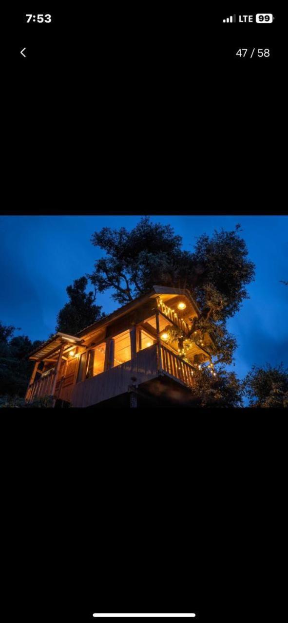 Apple Flower Heritage Homestay