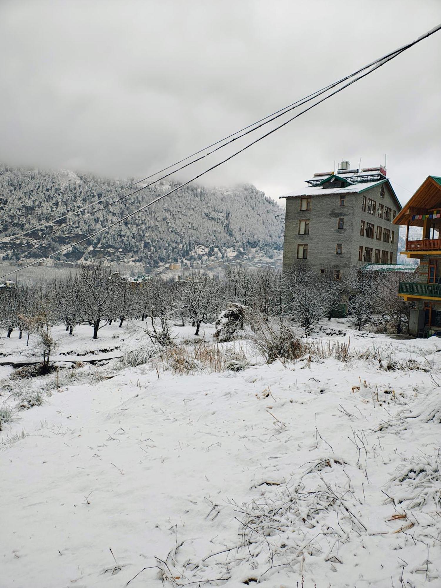 Thrill Venture End To End Himachal Experience, Explore At Your Pace! A True Hidden Gem Resort Manali (Himachal Pradesh)