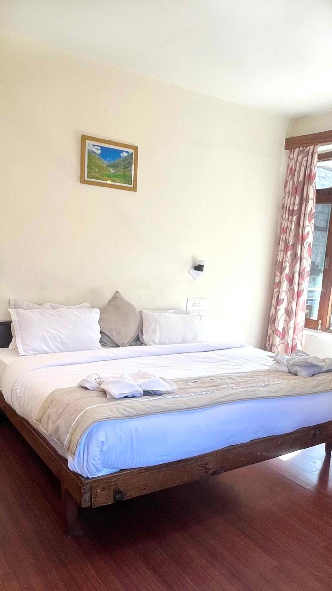 Tourist 10 Minutes Walking Distance From The Mall * Manali (Himachal Pradesh)