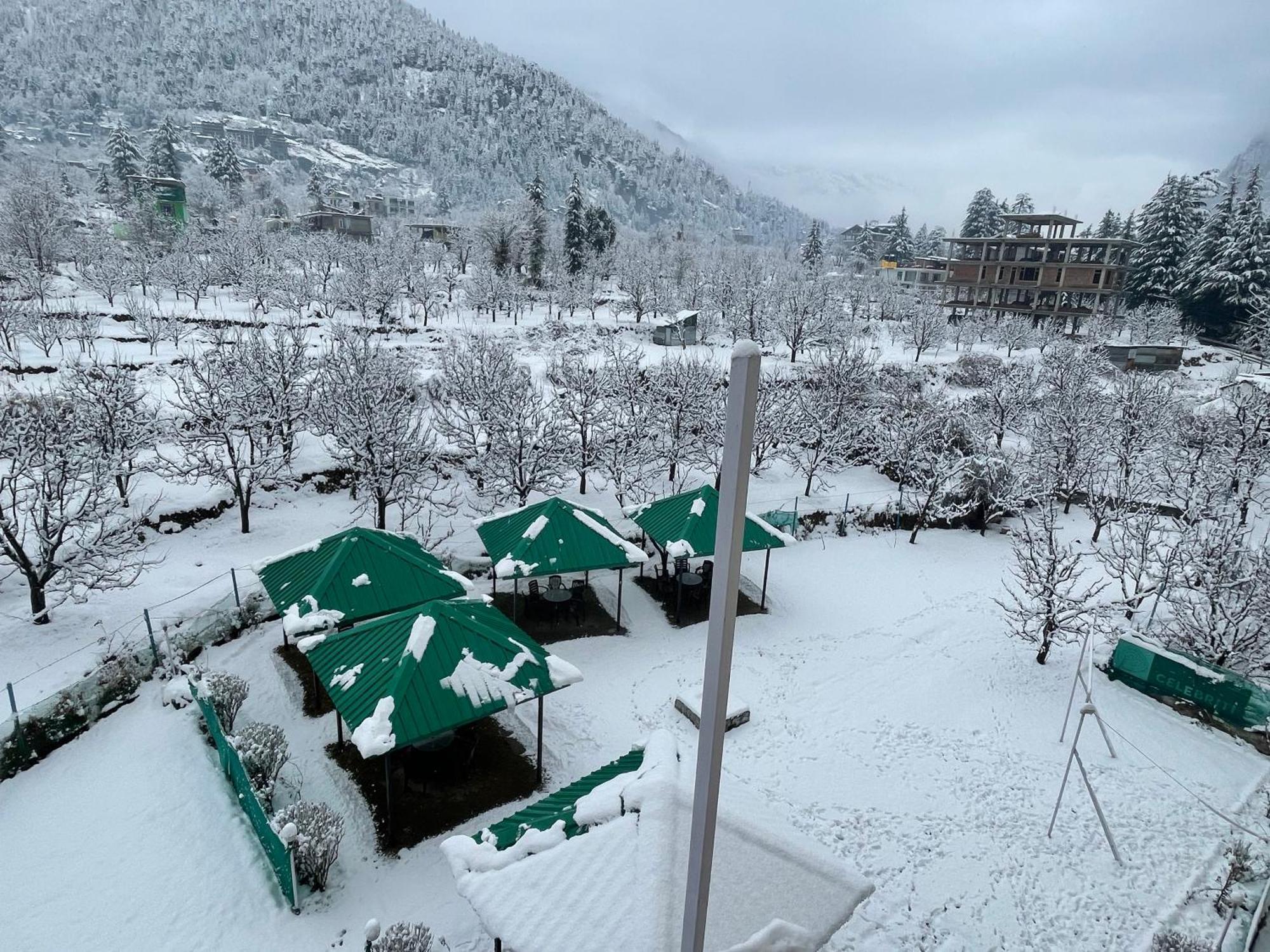 Celebriti By London Vista - Old Manali (Himachal Pradesh)