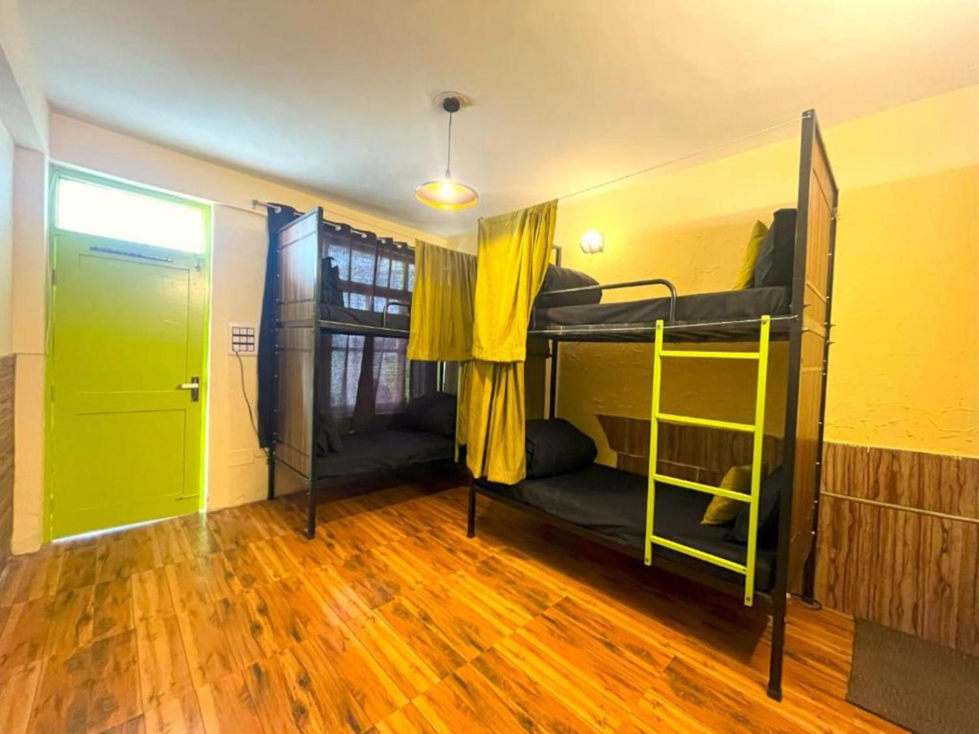 Hotel View T R I P P Y - T U R T L E Near Park Manali (Himachal Pradesh)
