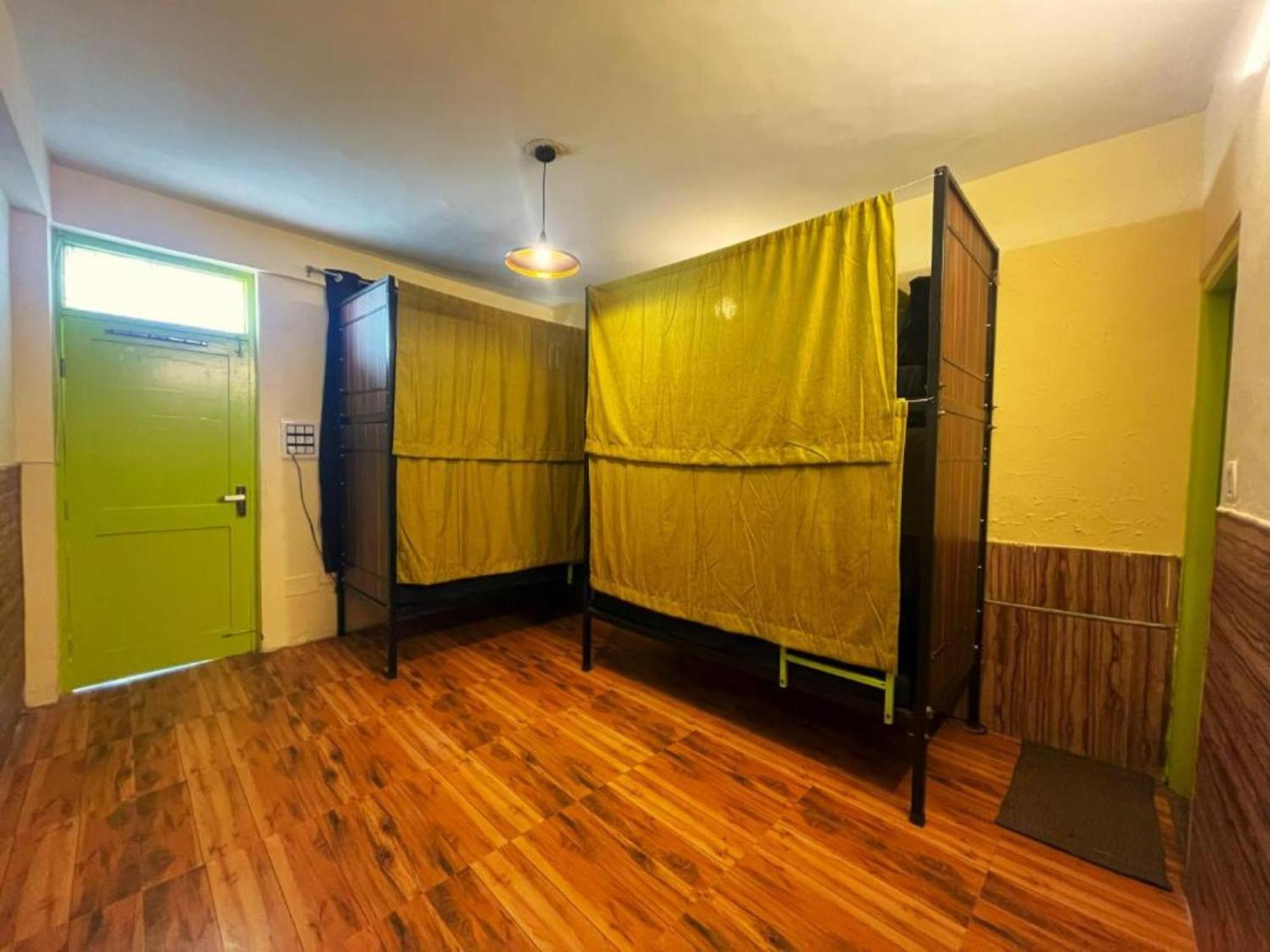 View T R I P P Y - T U R T L E Near Park 4*