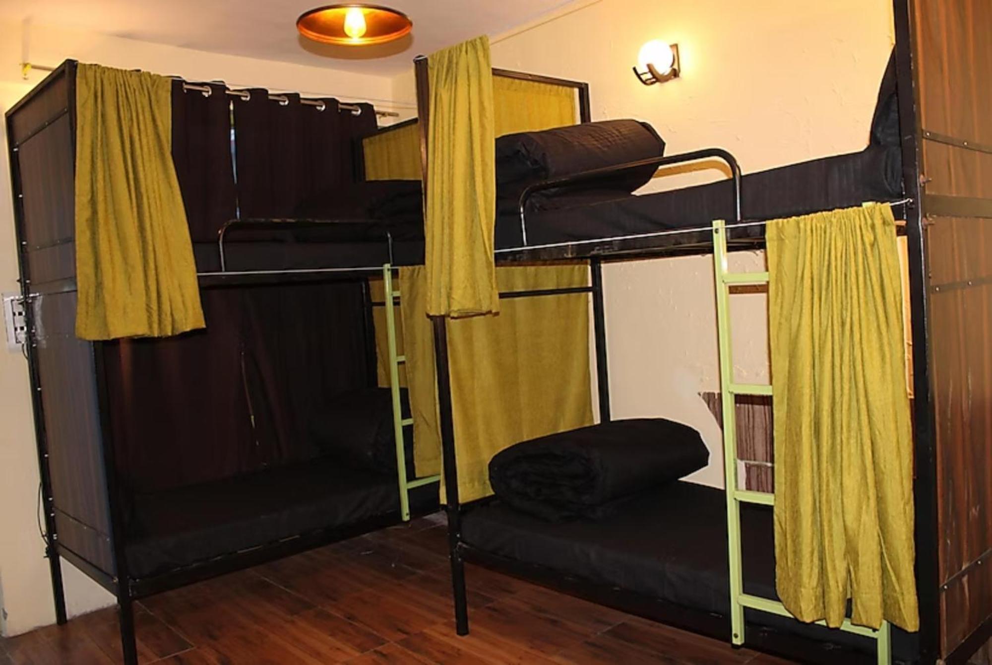 View T R I P P Y - T U R T L E Near Park 4*