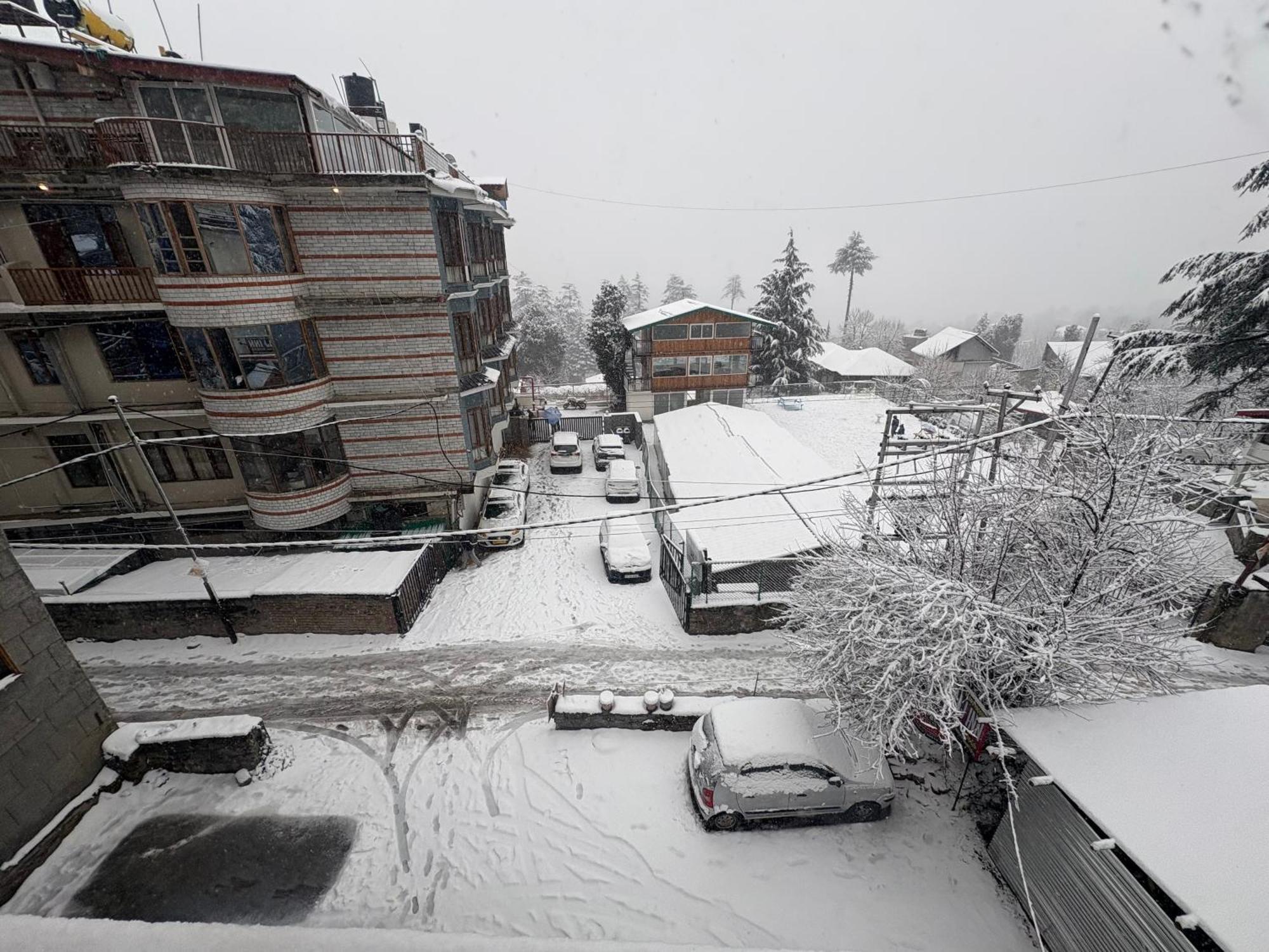 Guest house New Suraj - Near Hadimba Devi Temple Manali (Himachal Pradesh)