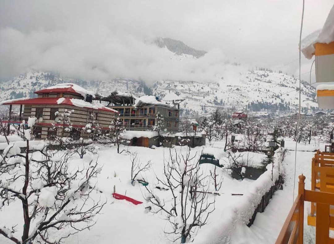 Dreamscape Manali (Himachal Pradesh)