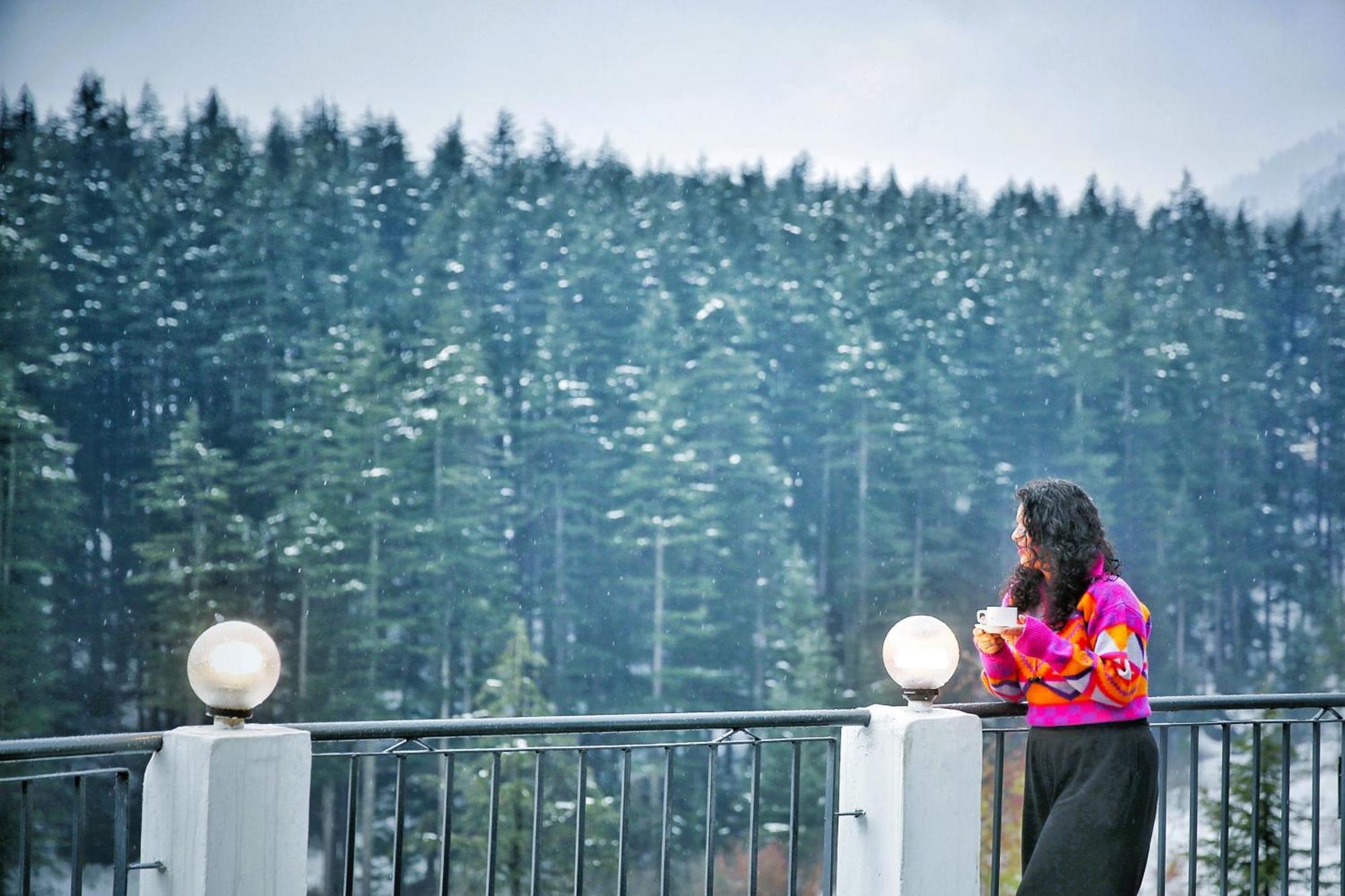 Greenfields 3* Manali (Himachal Pradesh)