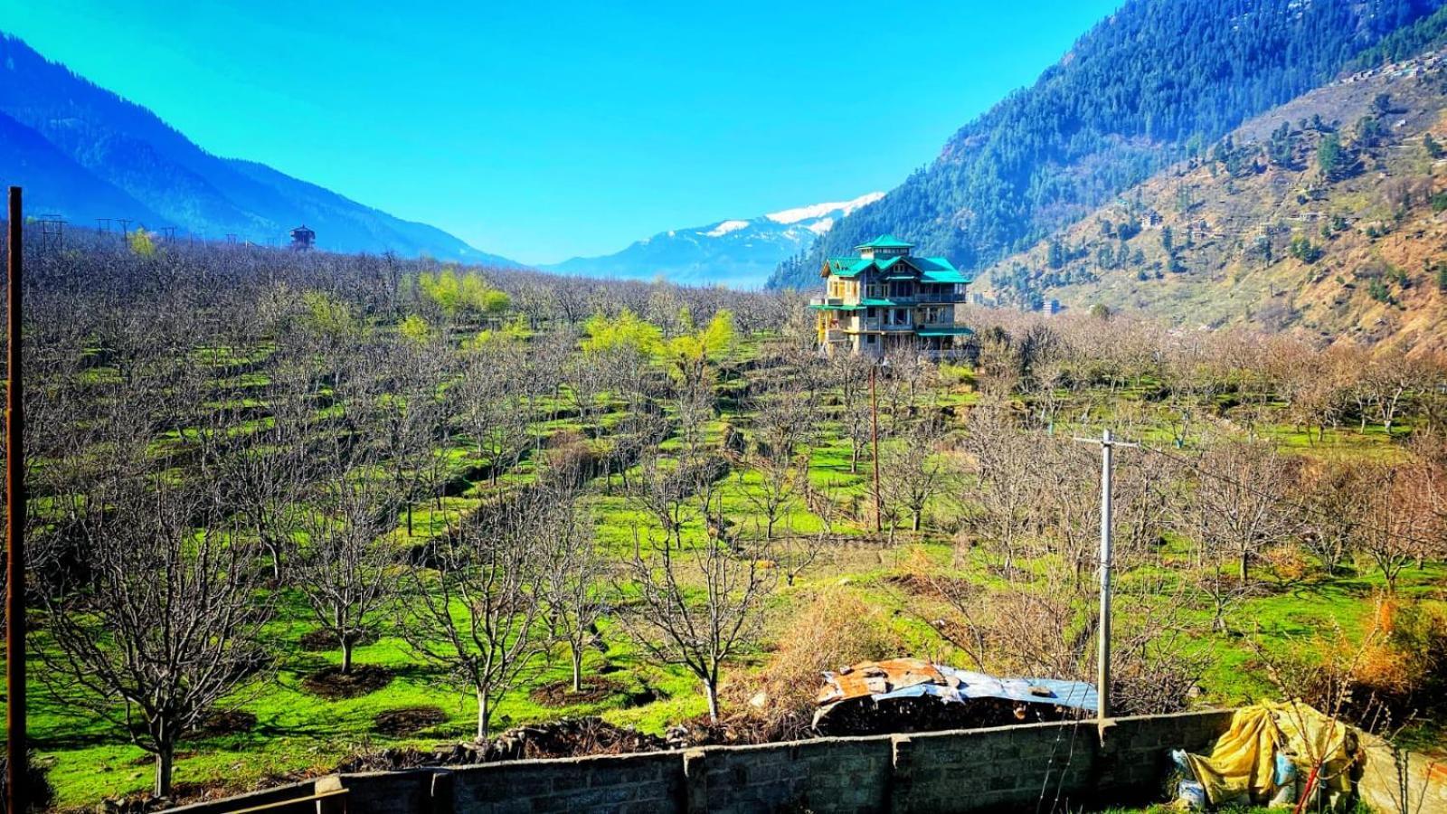 Aviyato Trimurti Guest house Manali (Himachal Pradesh)