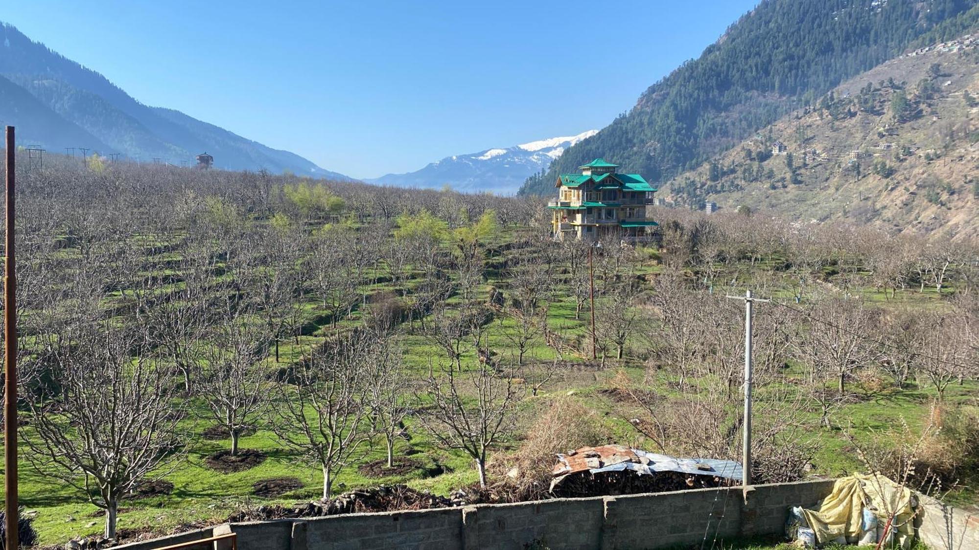 Aviyato Trimurti Guest house