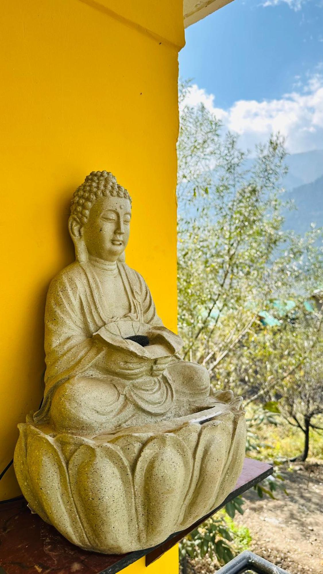 Wandercrew Manali (Himachal Pradesh)