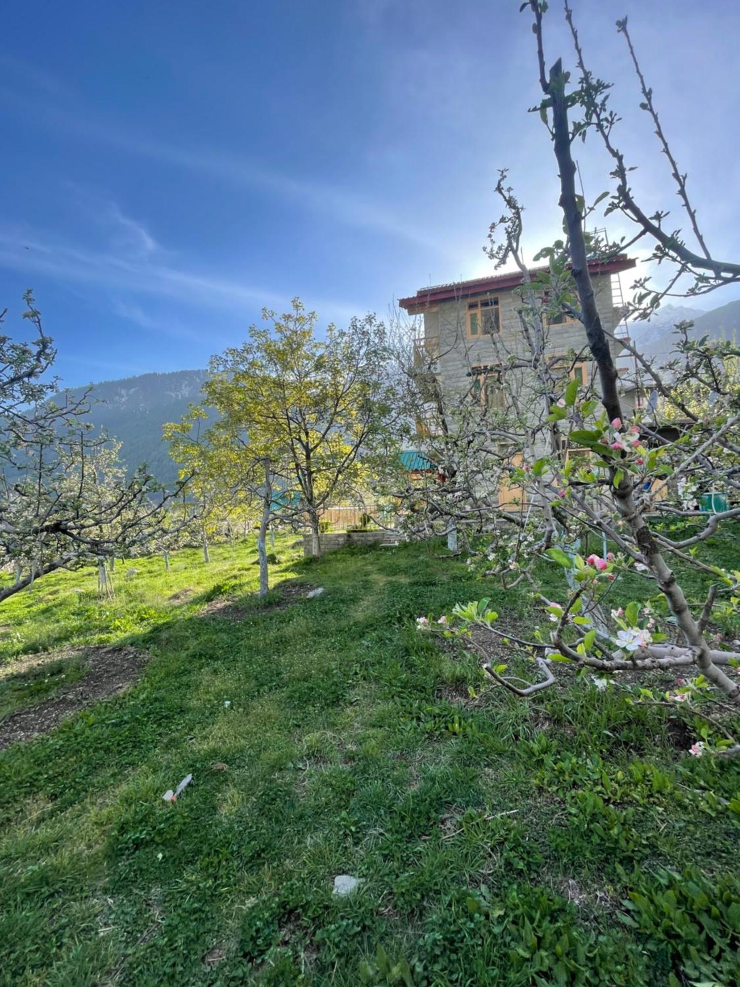 Heavens Retreat Manali (Himachal Pradesh)