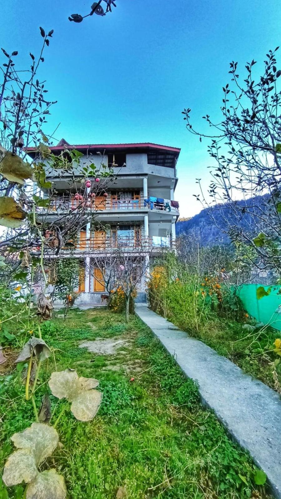 Hostel Trancemania Manali (Himachal Pradesh)