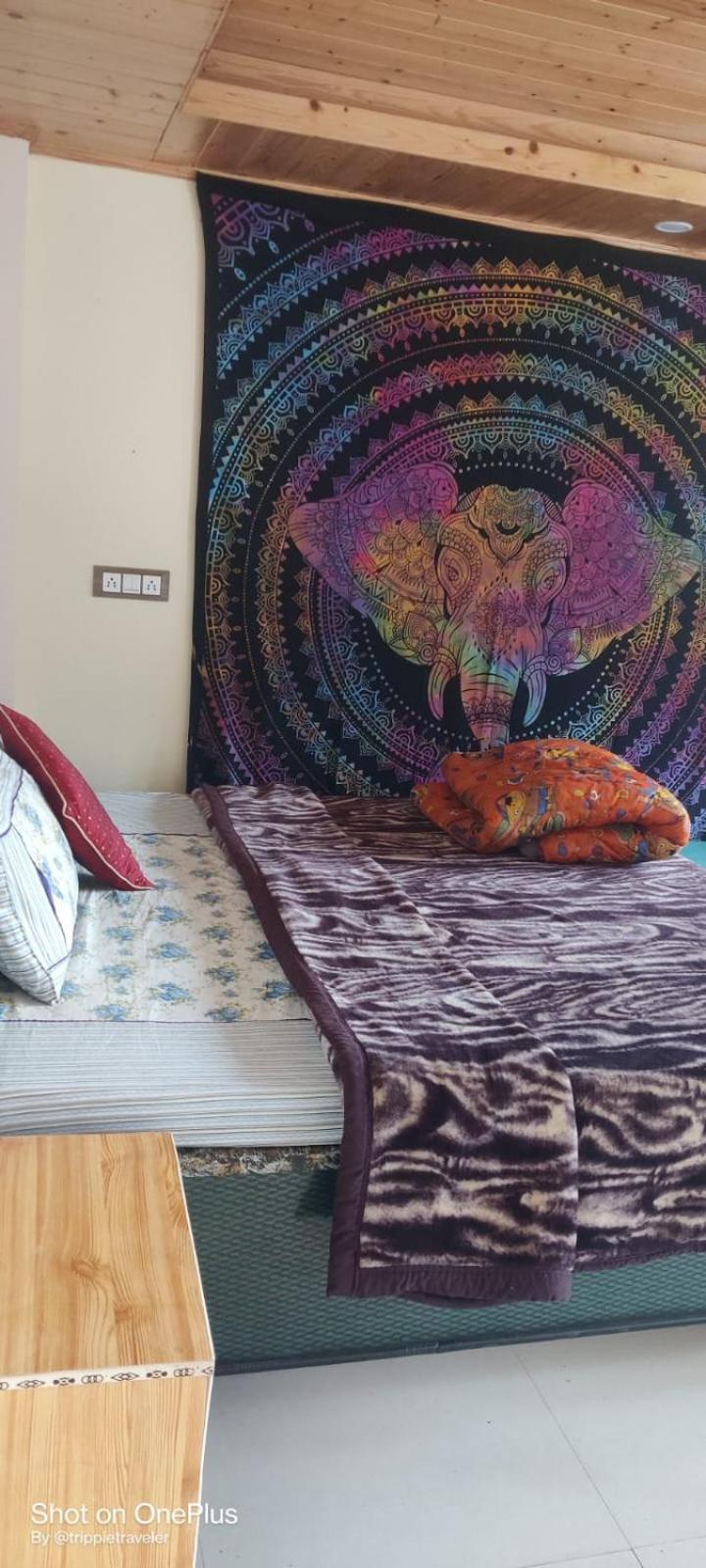 Trancemania Manali (Himachal Pradesh)