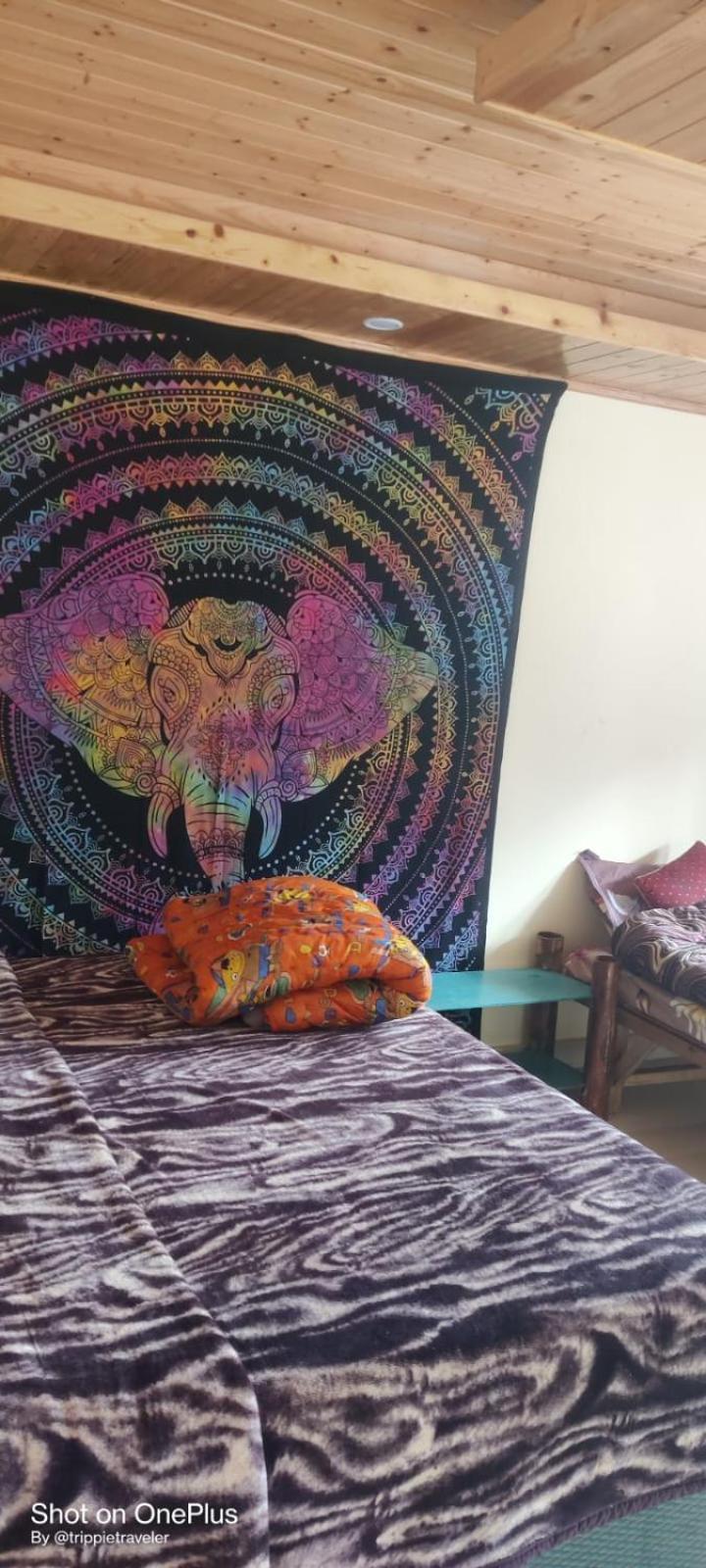 Trancemania * Manali (Himachal Pradesh)