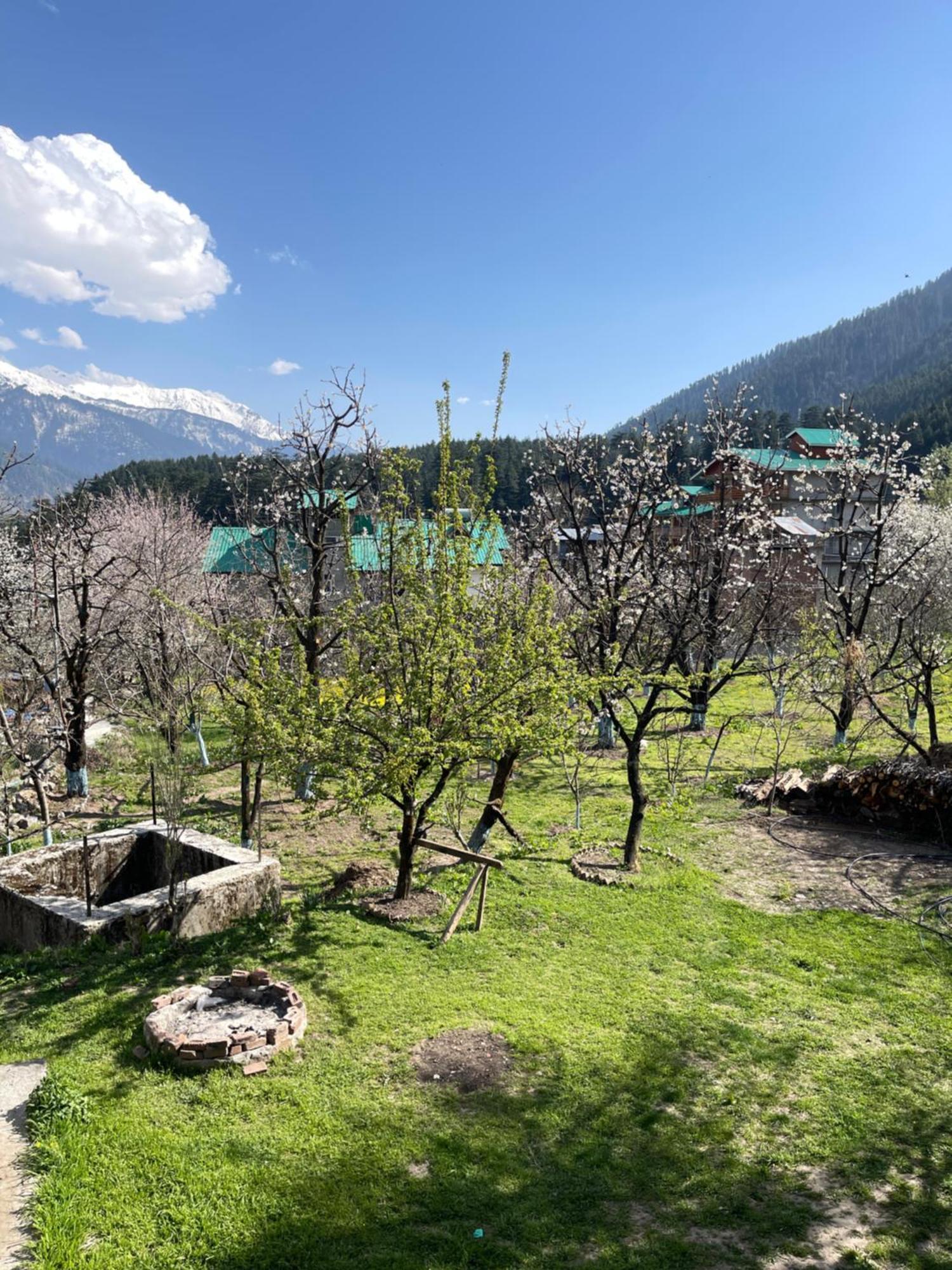 Shehjaar Homestay Manali (Himachal Pradesh)