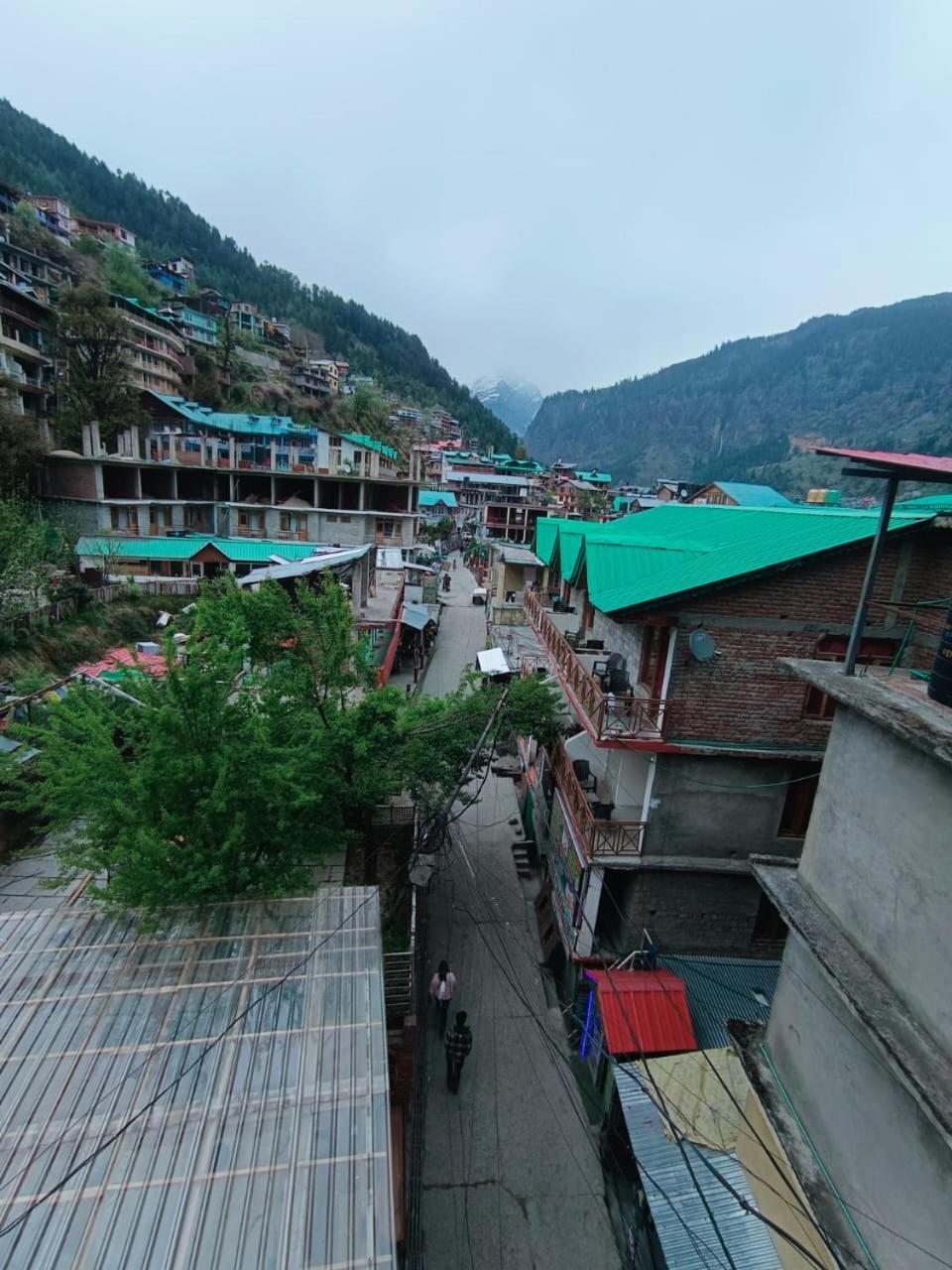 Guest house Non Stop Cafe & Manali (Himachal Pradesh)