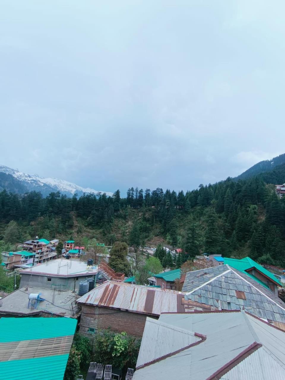 Non Stop Cafe & * Manali (Himachal Pradesh)