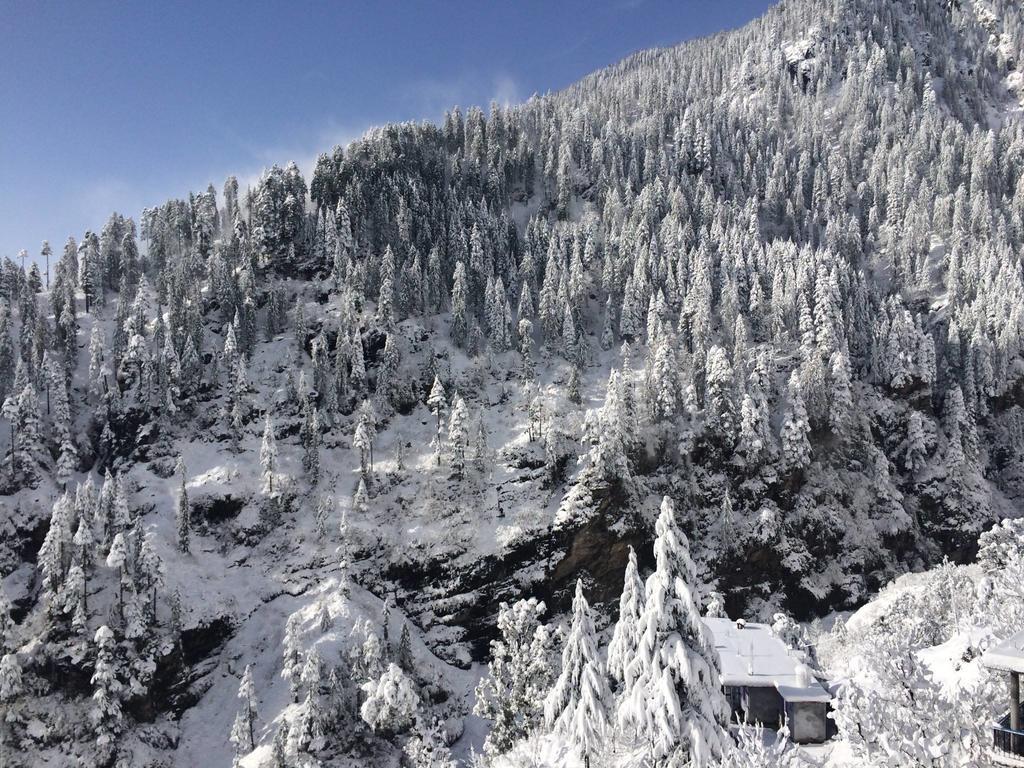 Kanyal Heights Hotel Manali (Himachal Pradesh)