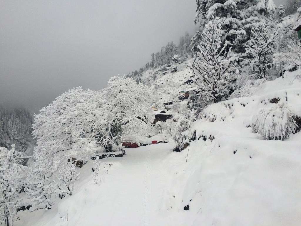 Kanyal Heights * Manali (Himachal Pradesh)