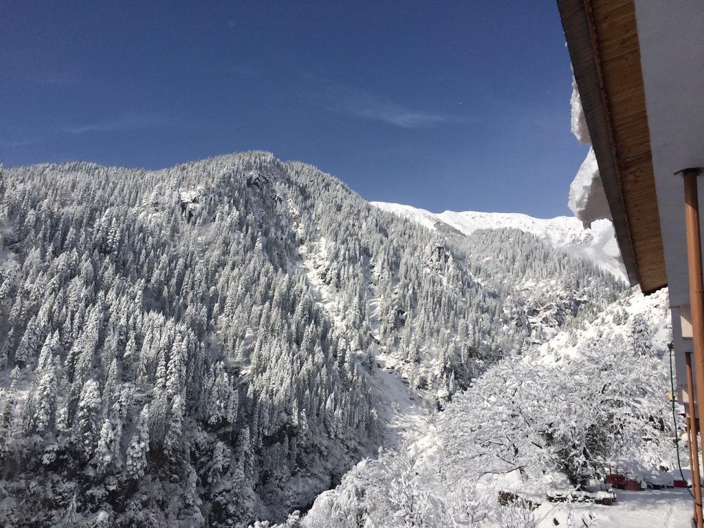 Kanyal Heights *