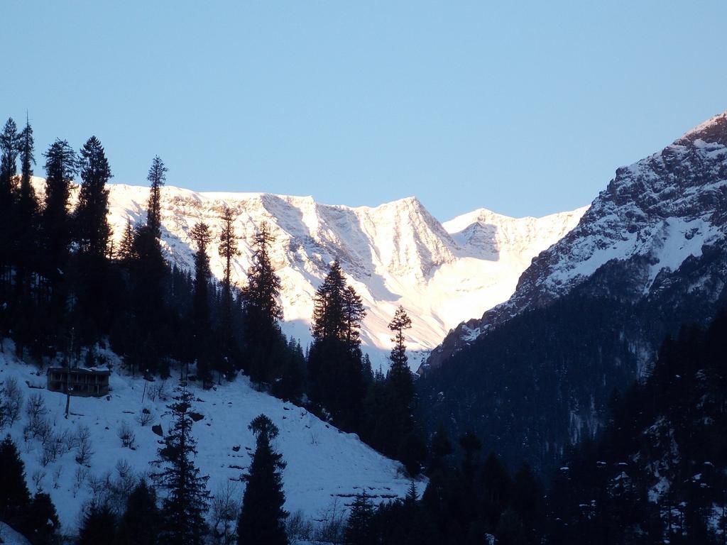 Manali Top Inn 2*