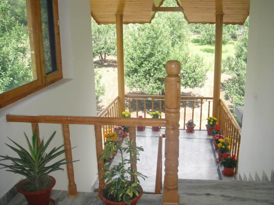 Venus Villa *