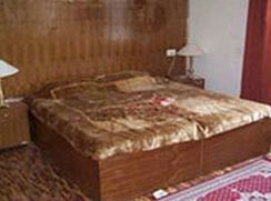 Hotel Chetna Manali (Himachal Pradesh)