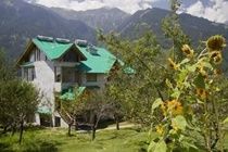 Hotel Oyo 1837 Hotel Golden Meadows Manali (Himachal Pradesh)