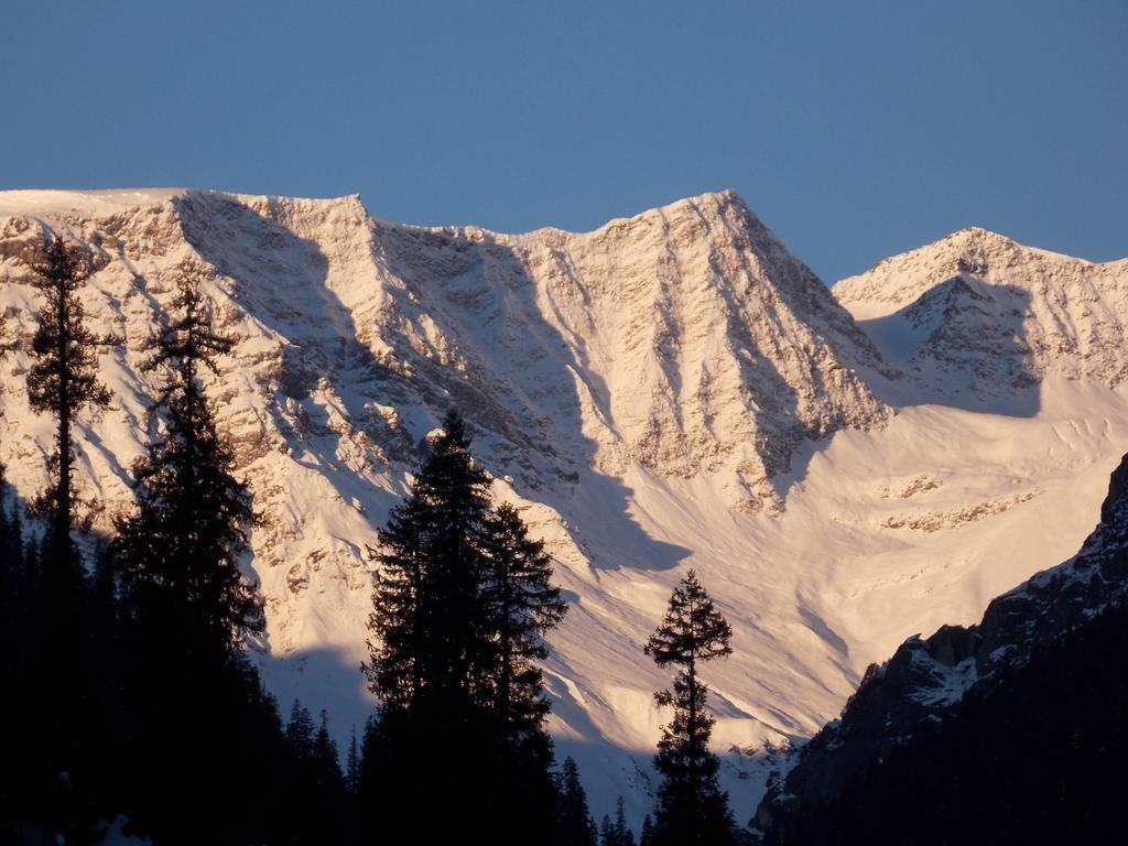 Manali Top Inn Guest house 2*