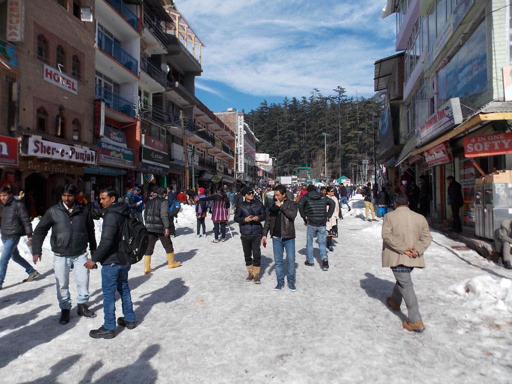 Manali Top Inn Guest house 2*