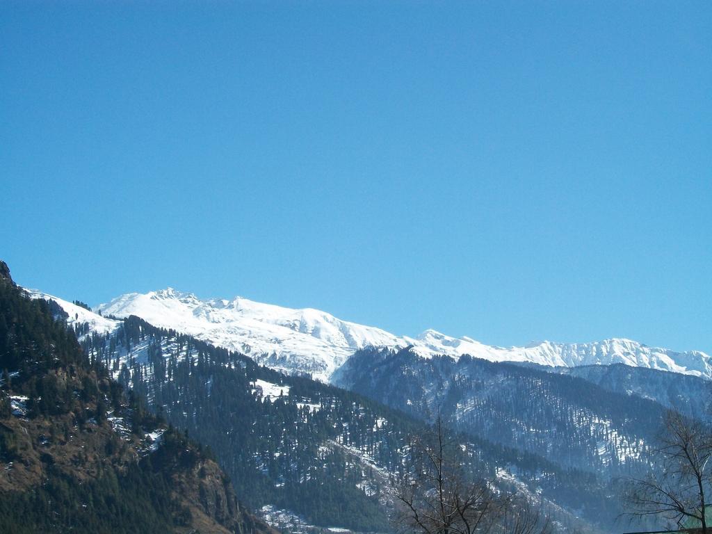 Hotel Tourist 10 Minutes Walking Distance From The Mall Manali (Himachal Pradesh)