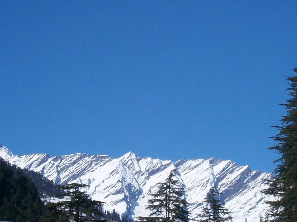 Tourist 10 Minutes Walking Distance From The Mall Manali (Himachal Pradesh)