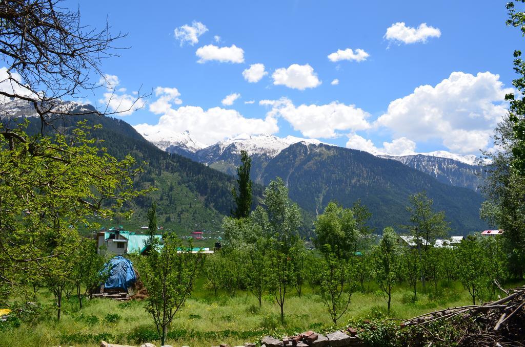 Gezellig - Tree Hill & Kanyal Lodge