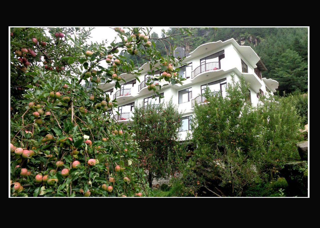 Apple Crescent 3*