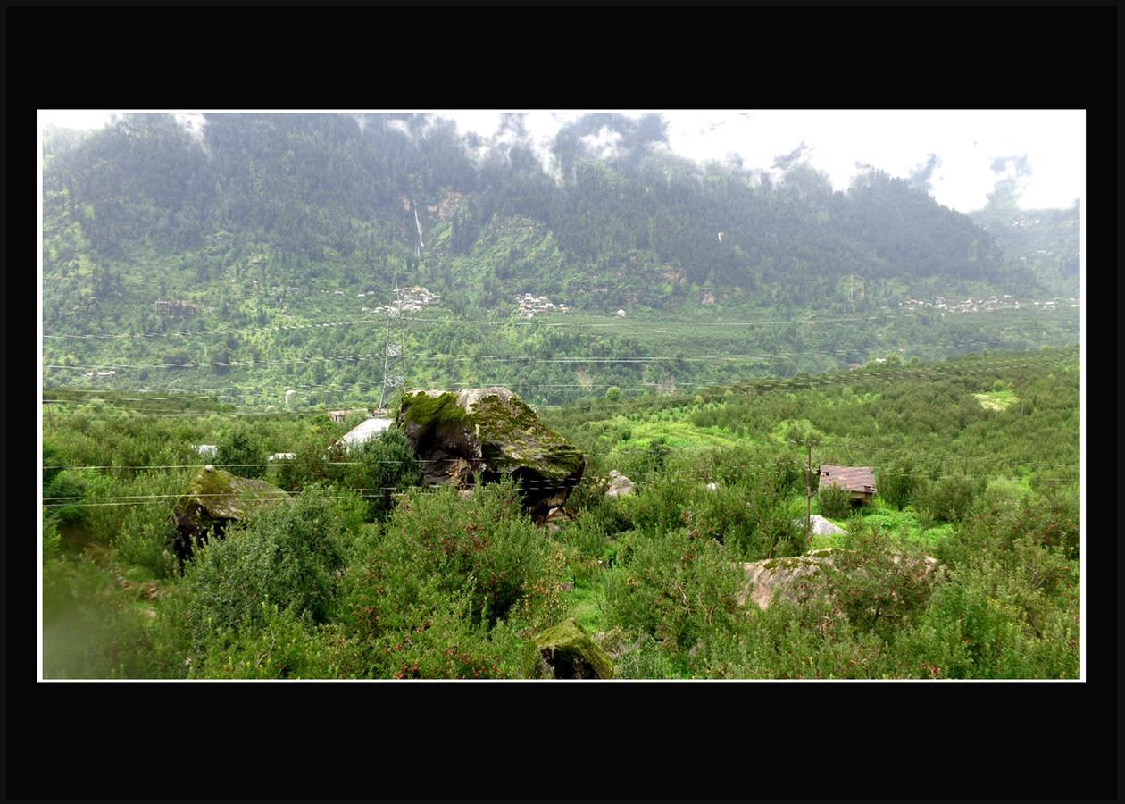 Apple Crescent Manali (Himachal Pradesh)