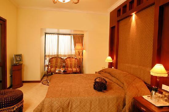 Meridian Hotel Manali (Himachal Pradesh)