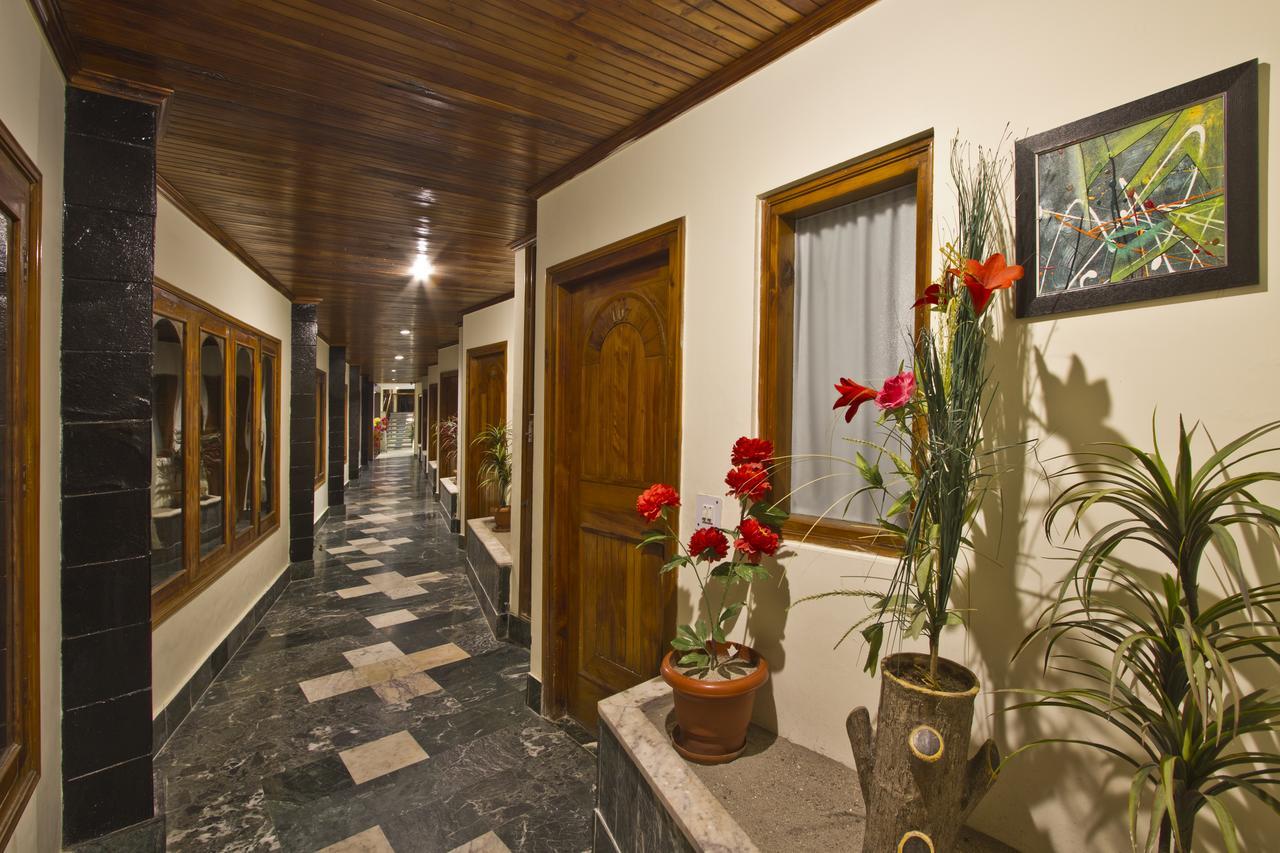 The Orchard Greens 3*