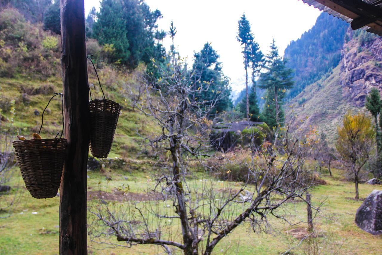 The Crazy Indian Pad Manali (Himachal Pradesh)