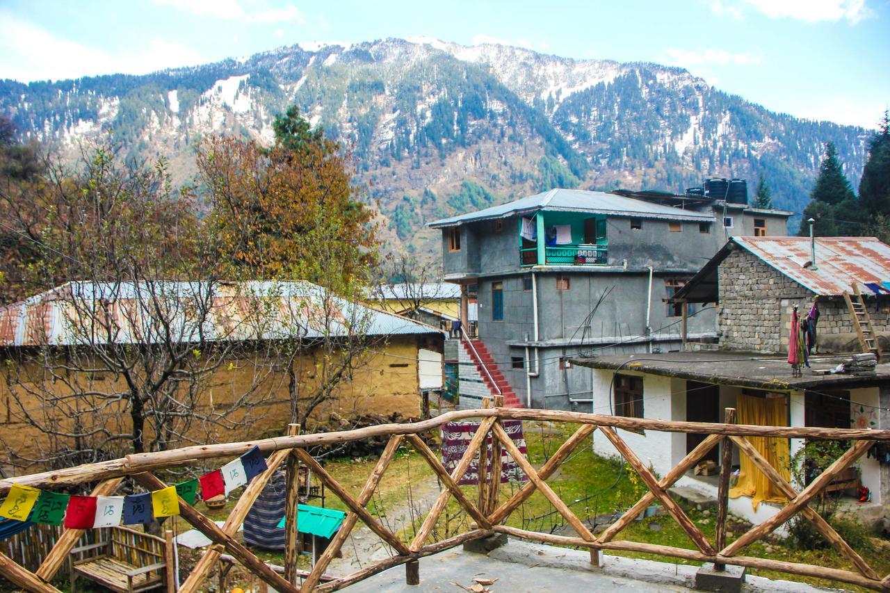The Crazy Indian Pad