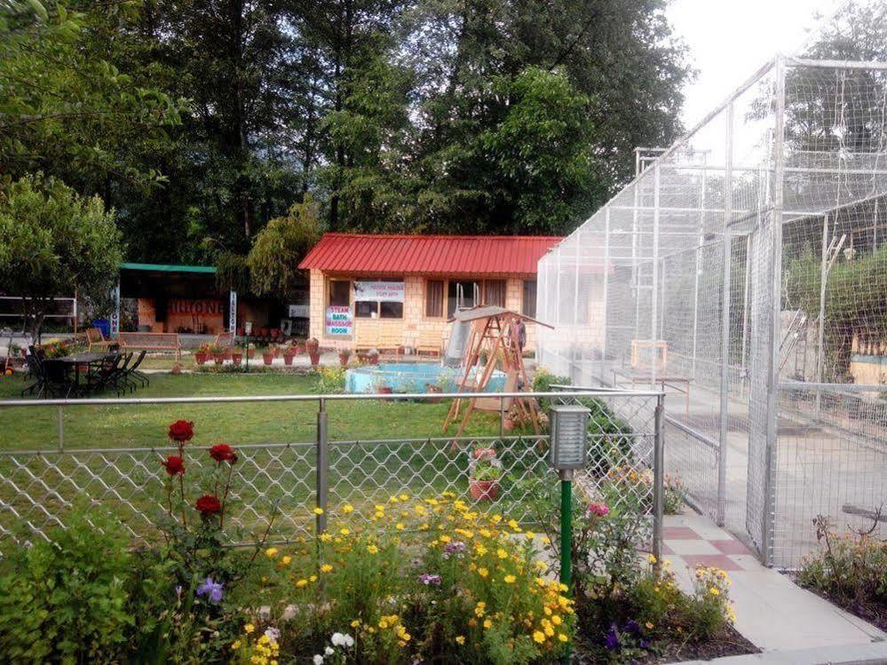 Hilltone & Manali (Himachal Pradesh)