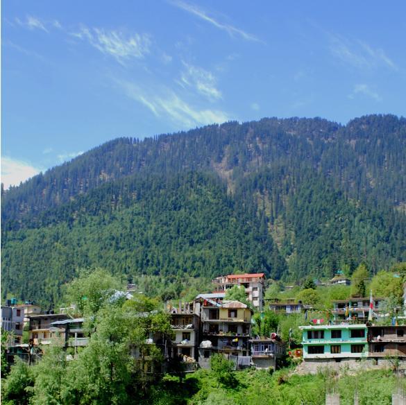Hotel Green View