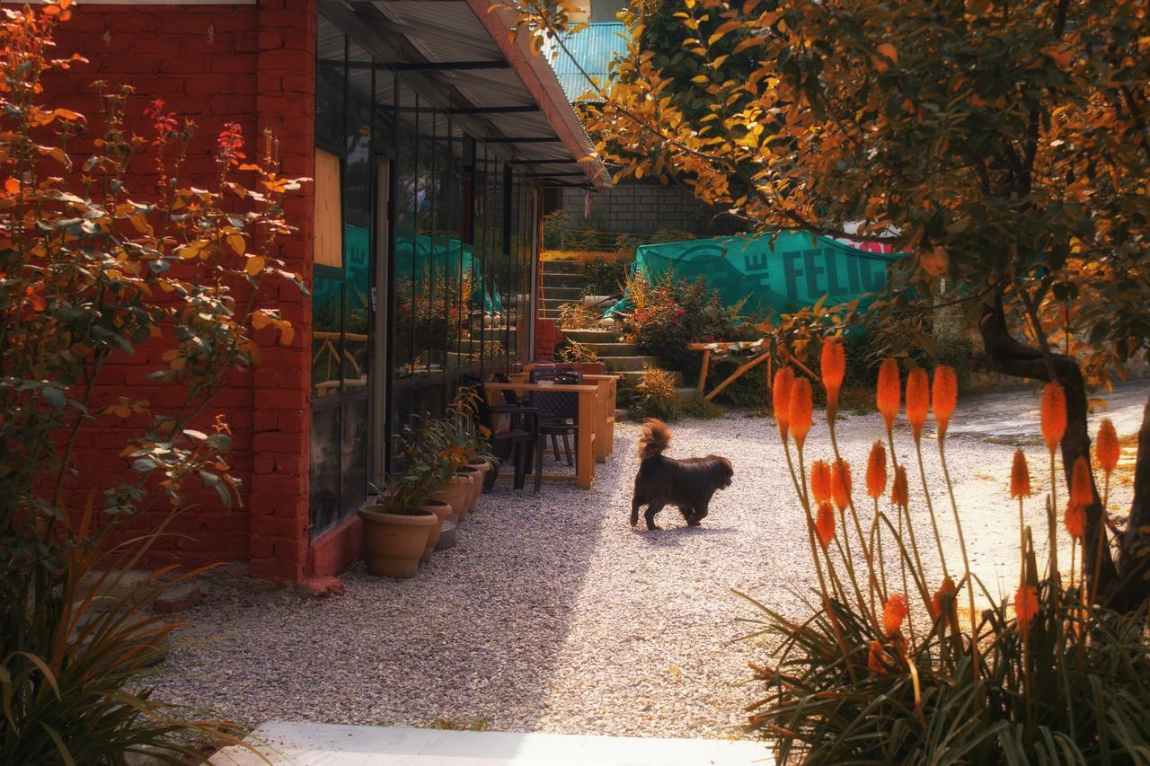 Hostel Yolo Backpackers -