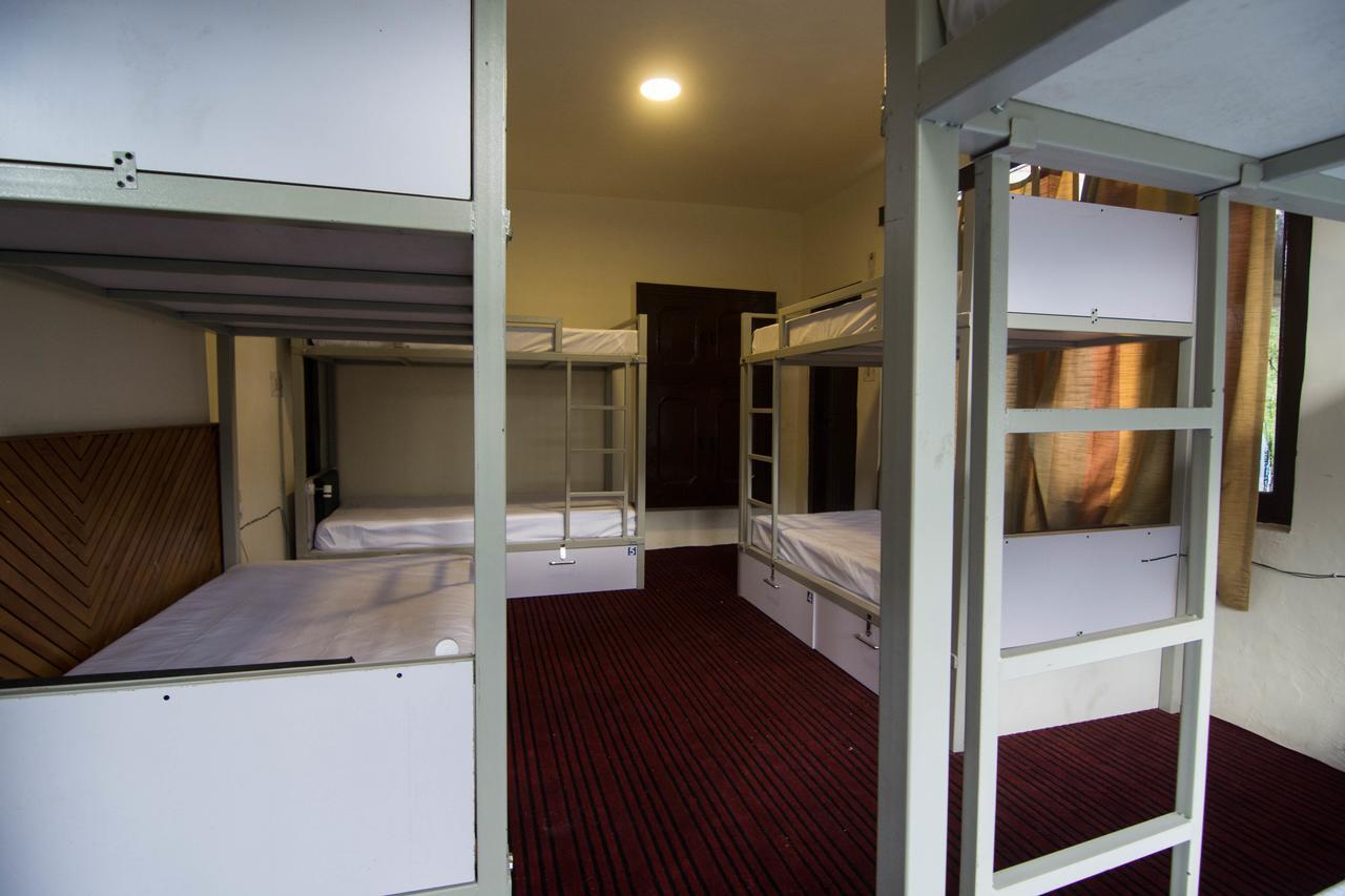 Backpacker Panda Hostel *