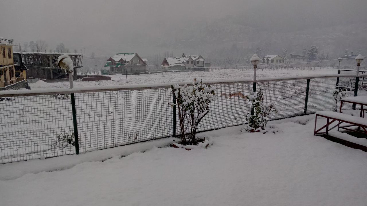 Mountain Hotel Manali (Himachal Pradesh)