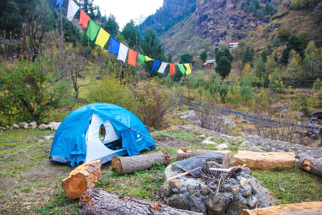 The Crazy Indian Pad *