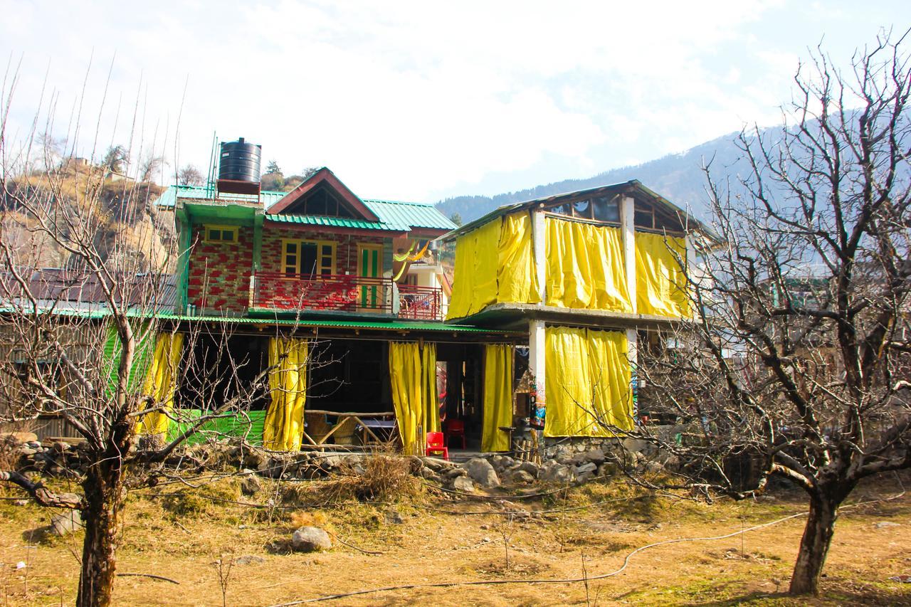 The Crazy Indian Pad