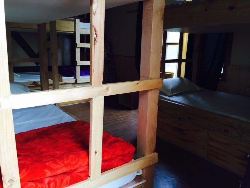 The Lost Tribe Hostels Hostel *