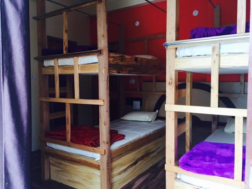 The Lost Tribe Hostels Hostel *